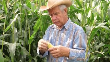 一位<strong>年迈</strong>的农民在手工玉米谷物中扭动的肖像
